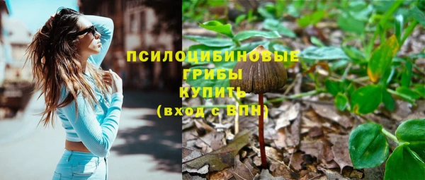 СК Михайловск